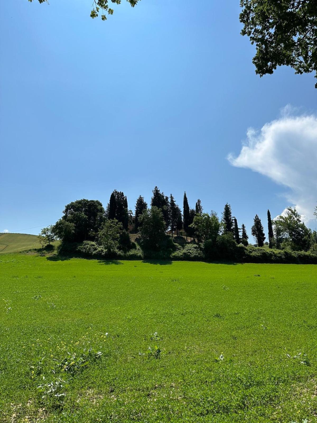 Villa Il Giardinello Montalcino Kültér fotó
