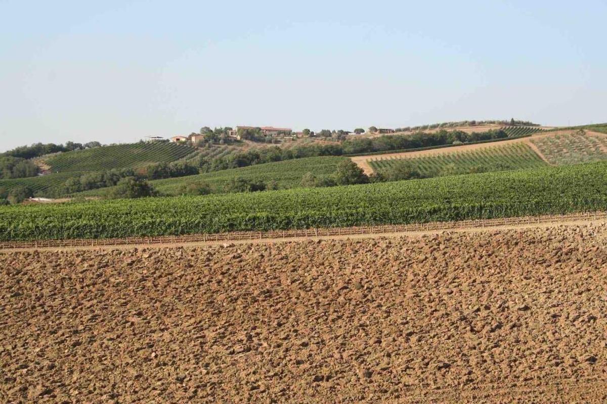 Villa Il Giardinello Montalcino Kültér fotó